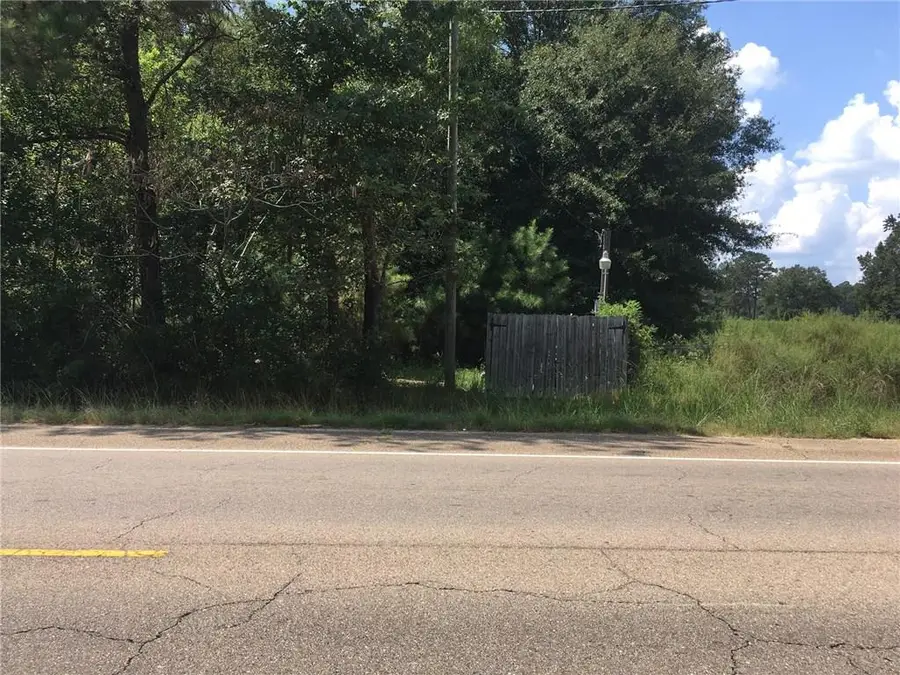 Hwy 51 Highway, Independence, LA 70443 - Image #3