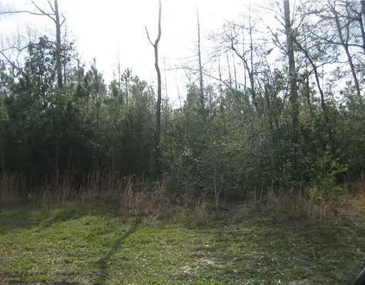 Strader Road, Ponchatoula, LA 70454