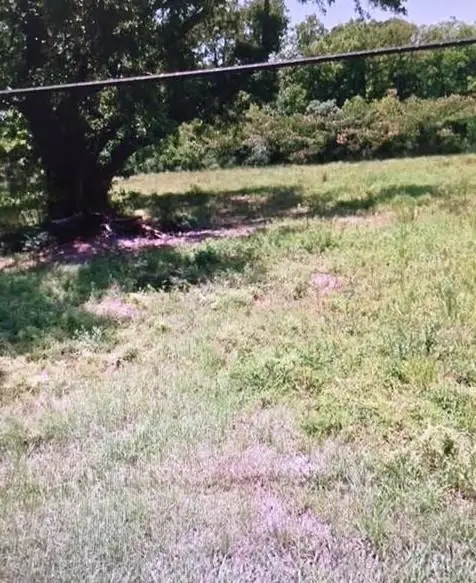 157 Hwy 51, Independence, LA 70443 - #2