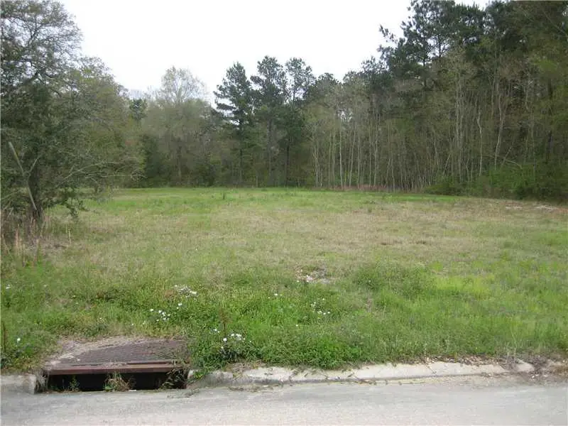 129 Robin Hood Boulevard, Hammond, LA 70403 - #1
