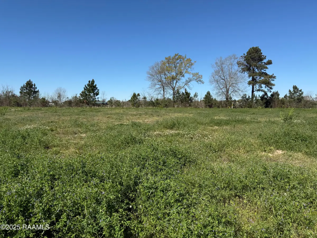 118 Fountain Meadow Drive, Broussard, LA 70518 - #1