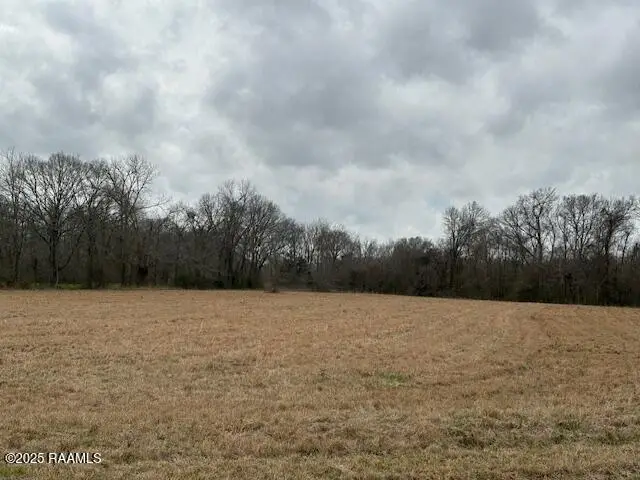 Grand Prairie Hwy, Washington, LA 70589 - #3