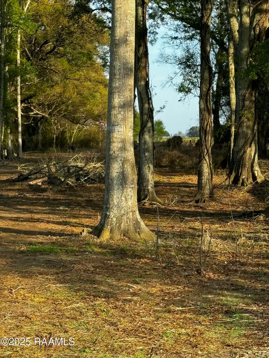 867 St. Peter Street, Jeanerette, LA 70544 - #2