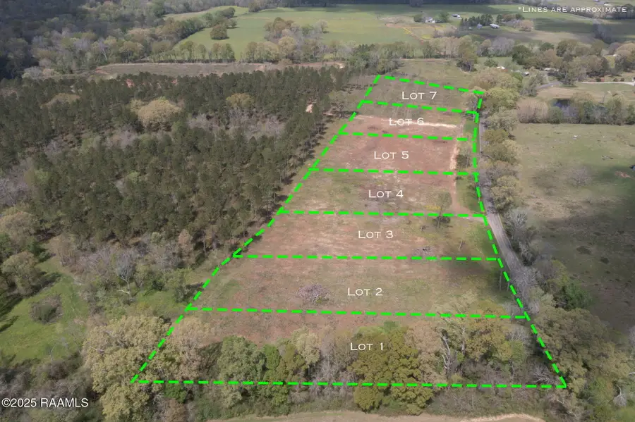 Tbd La Hwy 103 Lot 2, Washington, LA 70589 - #2