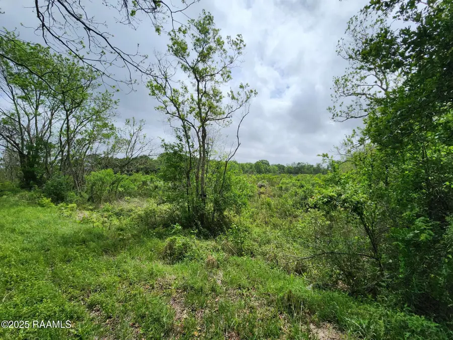 14500 Jasmine Road, Kaplan, LA 70548 - #2