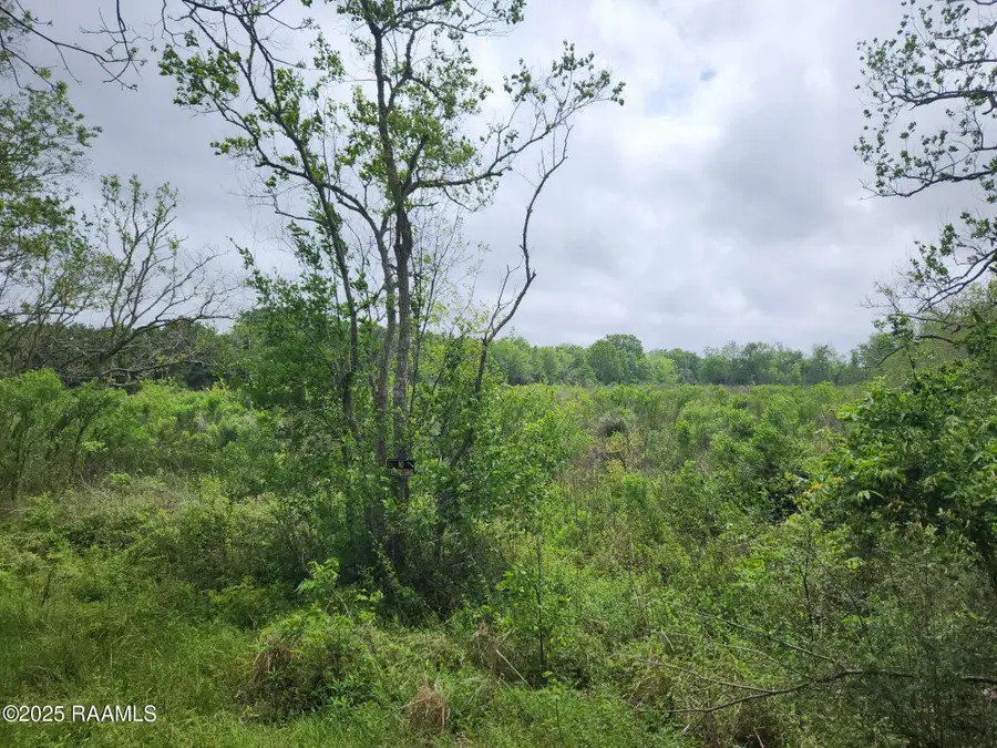 14500 Jasmine Road, Kaplan, LA 70548 - #3