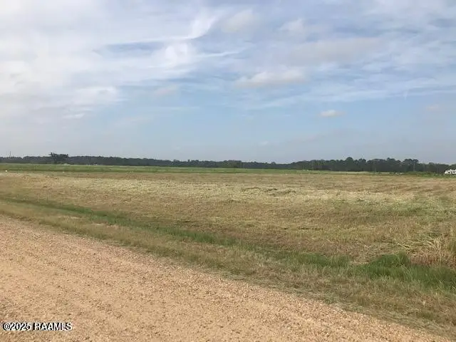 Vie Terre Beau Road, Basile, LA 70515 - #3