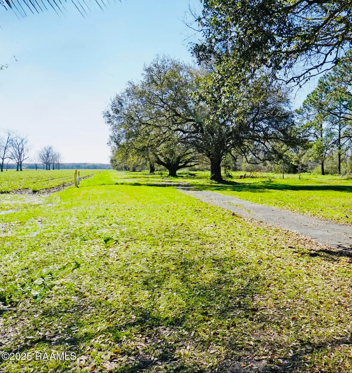 Tbd La-31, Breaux Bridge, LA 70517 - #1