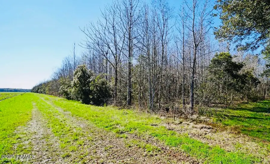 Tbd La-31, Breaux Bridge, LA 70517 - #3