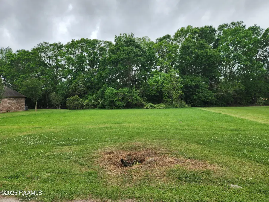 Tbd Dohmann Street, Ville Platte, LA 70586 - #3