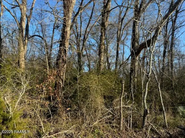 1 Heard Sylvester Road, Washington, LA 70589 - #2