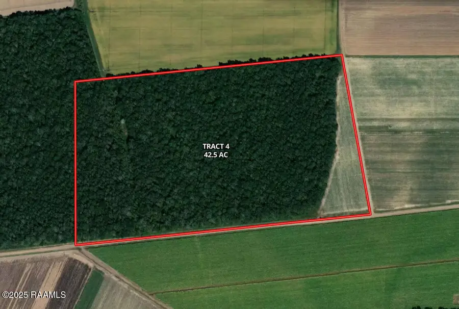 1000 Grand Chemin Road, Saint Martinville, LA 70582 - #2