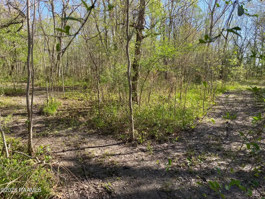 1202 Van Brocklin Road, New Iberia, LA 70563 - #3