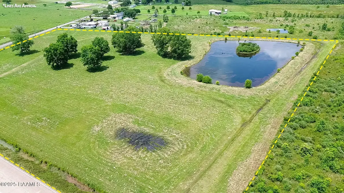 119 Pitre Lane, Ville Platte, LA 70586 - #1