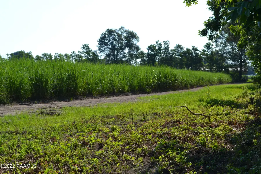 5818 Freetown Road, New Iberia, LA 70560 - #2