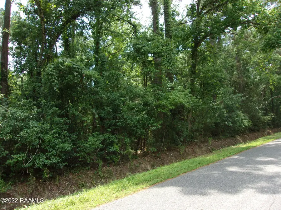 E Villien Avenue, Abbeville, LA 70510 - #3