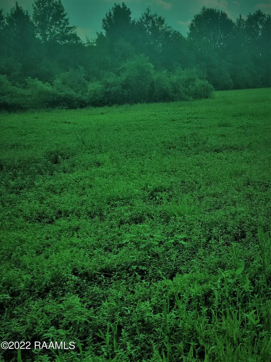 Tbd La-10, Opelousas, LA 70570 - #3