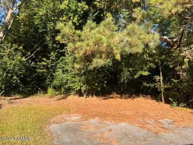 300 Blk Glaser Drive, Broussard, LA 37738 - #1
