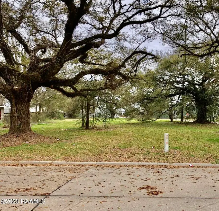 Lot 41 Durand/elmore Street, Saint Martinville, LA 70582 - #2