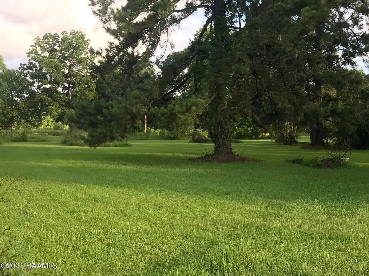 0 Wilson St Julian Road, Cade, LA 70519 - #1