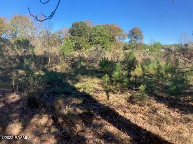 Landry Lane, Eunice, LA 70535 - #2