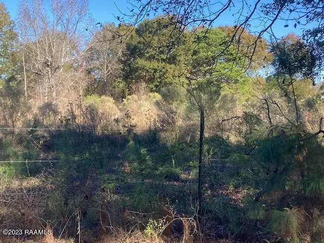 Landry Lane, Eunice, LA 70535 - #3