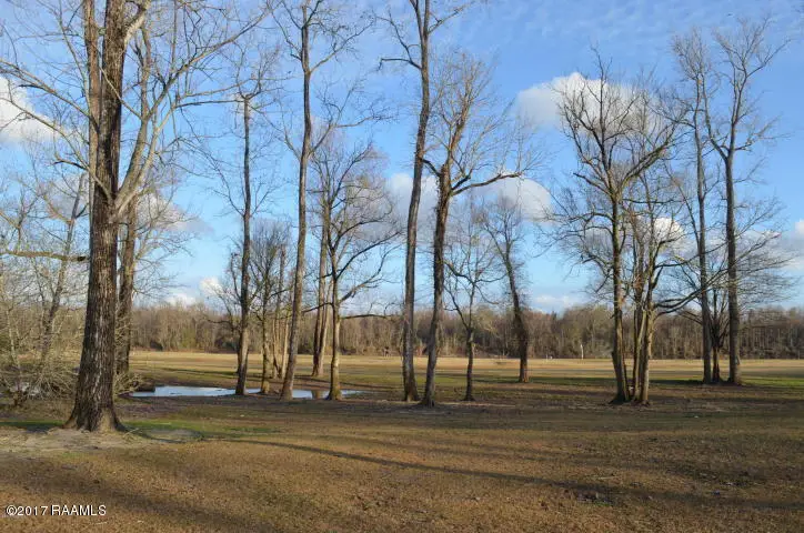 12 Callie Drive, Breaux Bridge, LA 70517 - #2