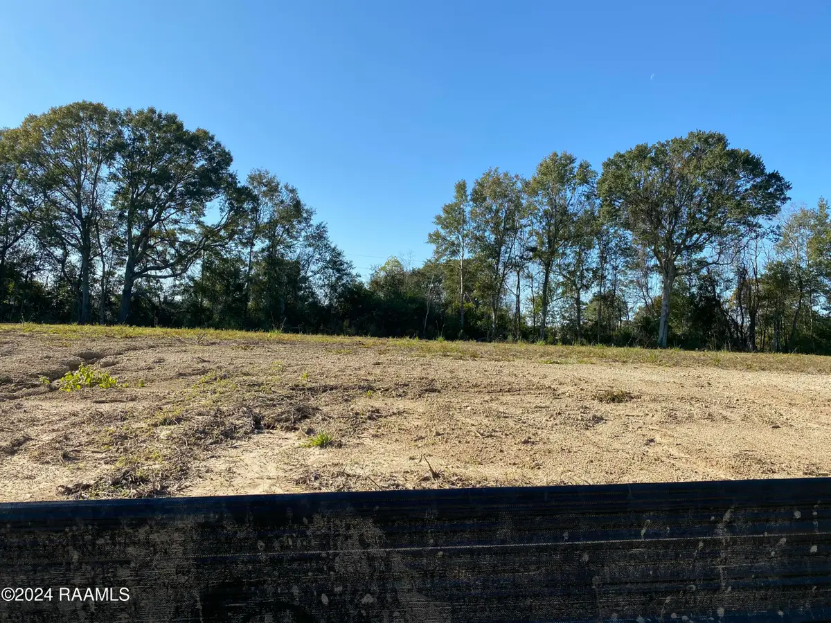 103 Leaning Oak Drive, Lafayette, LA 70508 - #1