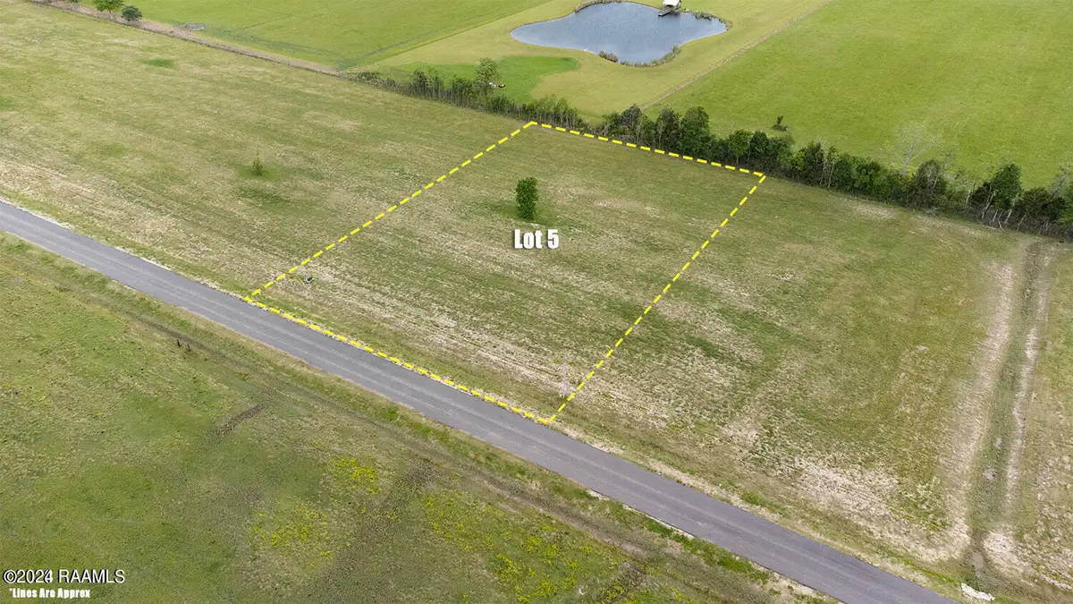 Tbd Doc Guidry Road #5, Cankton, LA 70584 - #1