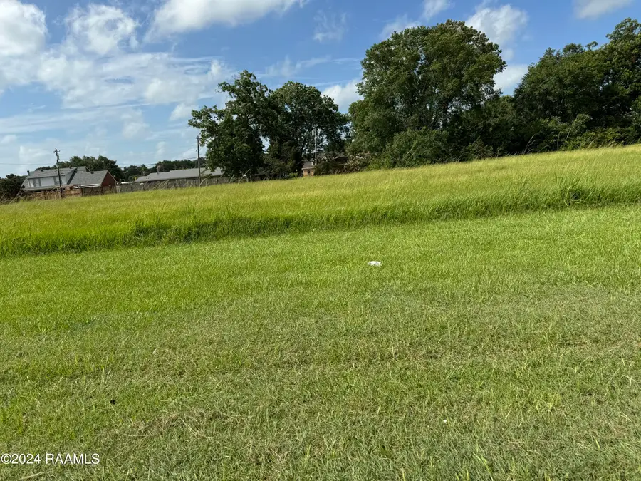 711 W Summers/hwy 14 Drive, Abbeville, LA 70510 - #3