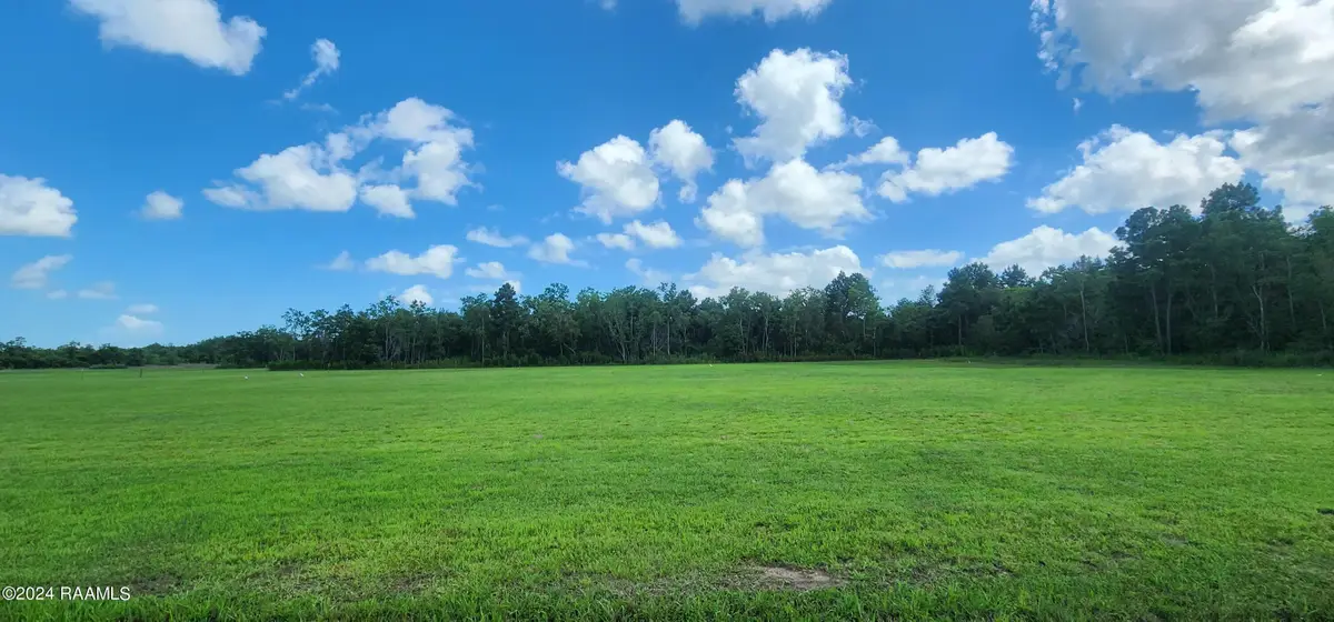 Tbd Louisiana Avenue, Gueydan, LA 70542 - #1