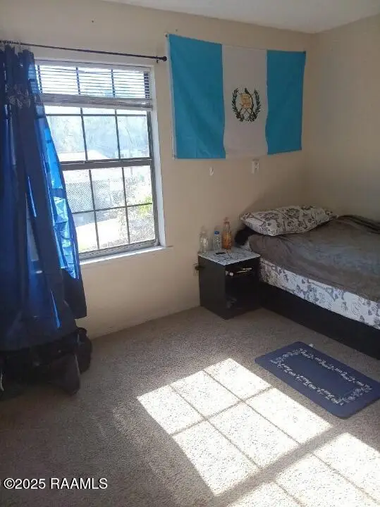 215 Lodge Drive, Lafayette, LA 70506 - #3