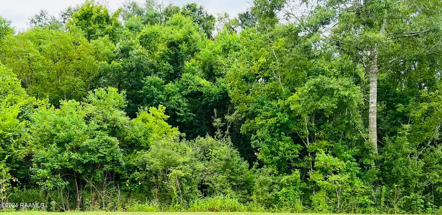 Lots 171, 172, 173 Pratt Drive, Saint Martinville, LA 70582 - #2