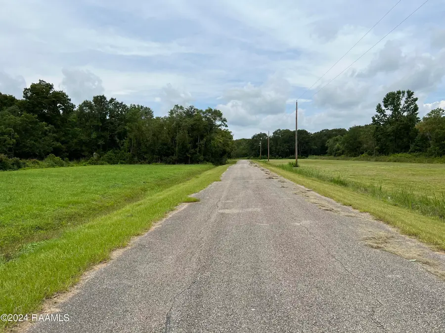 Lots 171, 172, 173 Pratt Drive, Saint Martinville, LA 70582 - #3