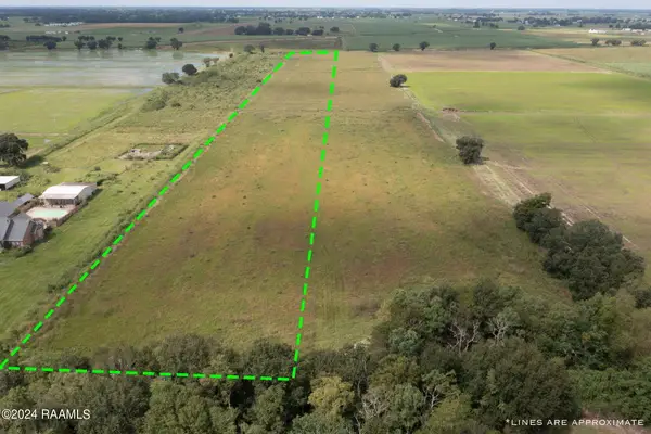Tbd Wilson Road, Maurice, LA 70555