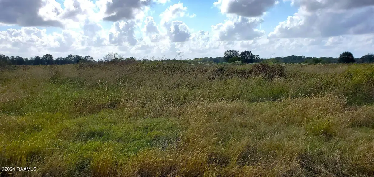 1873 Pitreville Highway, Church Point, LA 70525 - #1