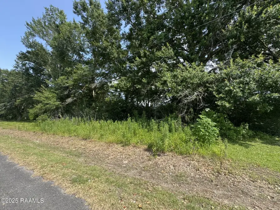 Tbd Orphe Road #34 & 35, Saint Martinville, LA 70582 - #2