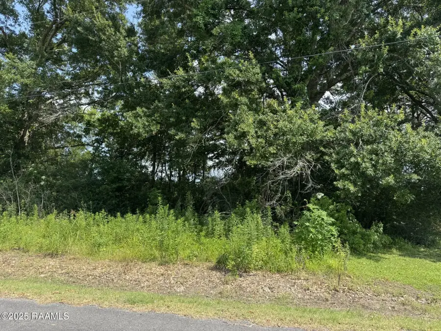 Tbd Orphe Road #34 & 35, Saint Martinville, LA 70582 - #3