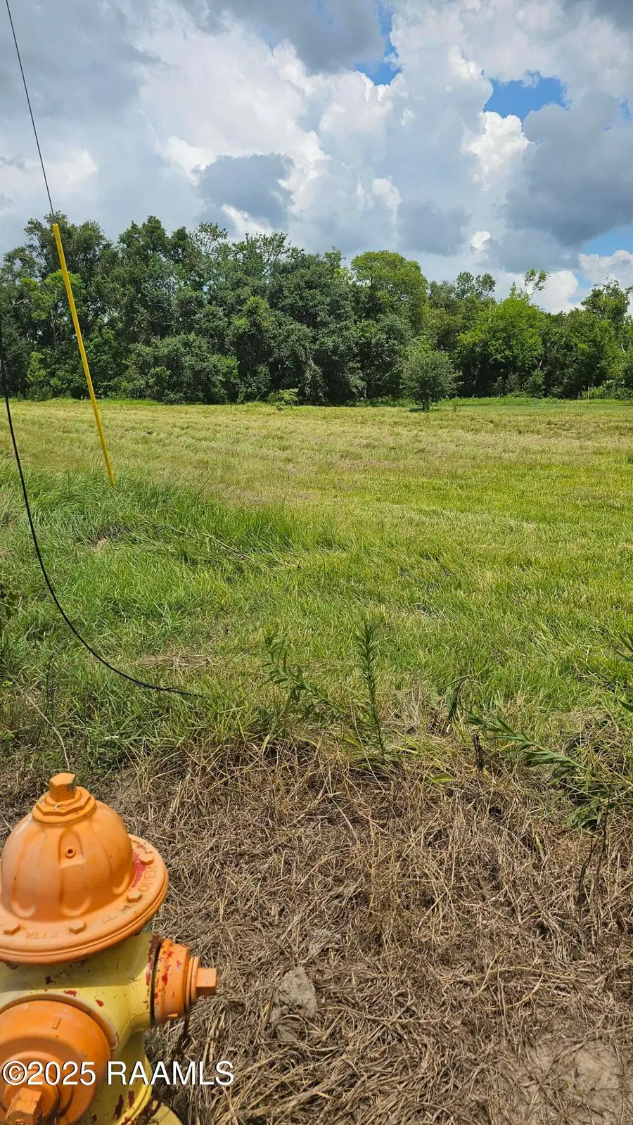 1628 Doctor Beatrous Road, Theriot, LA 70397 - #3