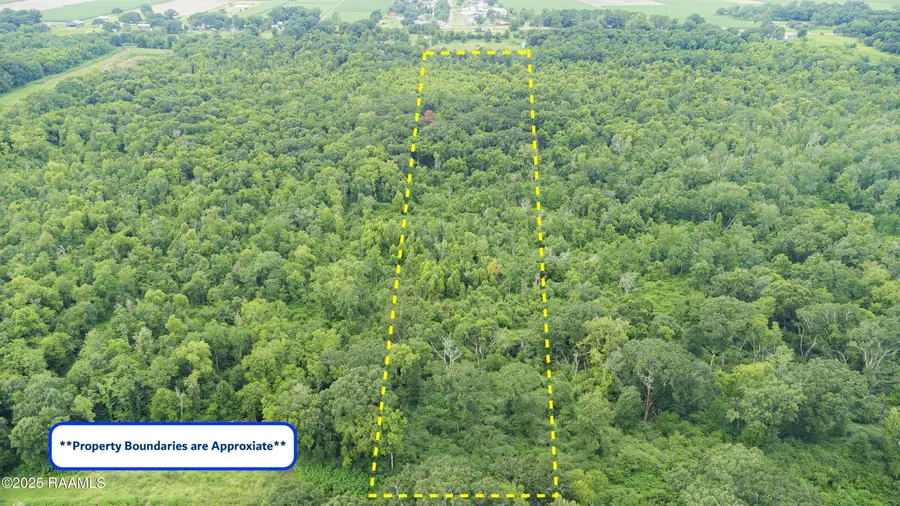 Tbd E Admiral Doyle Drive, New Iberia, LA 70560 - #2