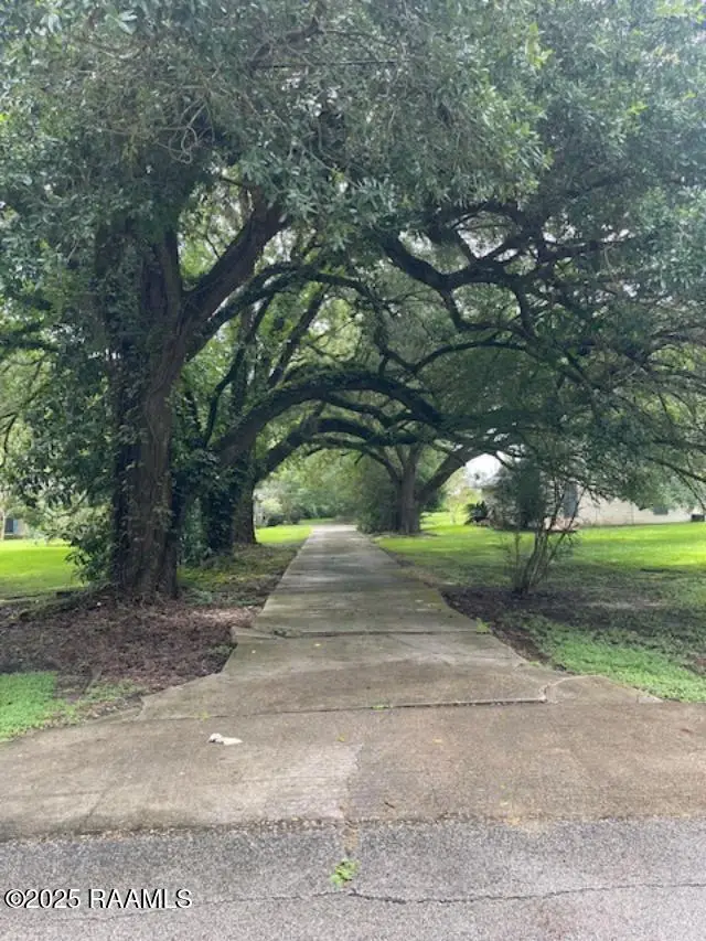 12733 Grosse Isle Road, Abbeville, LA 70510 - #3