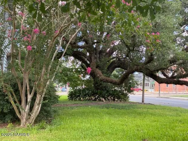 203 W St. Peter Street, New Iberia, LA 70560 - #1