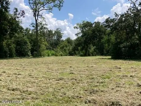 000 Stephanie Drive, Saint Martinville, LA 70582 - #3