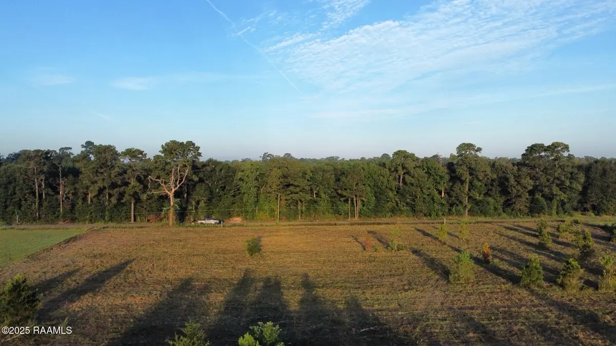 1050 Jolene Road, Basile, LA 70515 - #1
