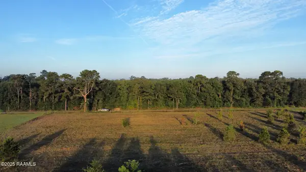 1050 Jolene Road, Basile, LA 70515