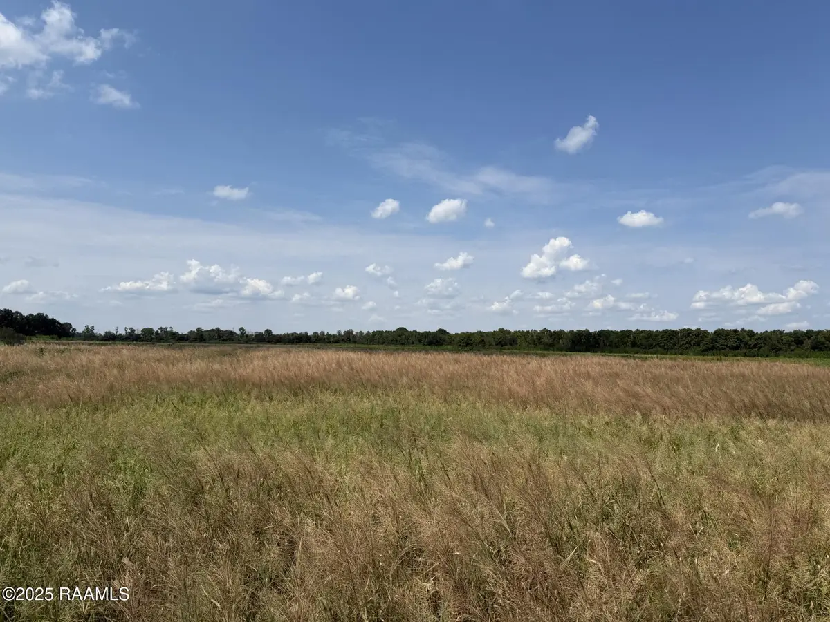 Tbd Whispering Pine Lane, Ville Platte, LA 70586 - #1