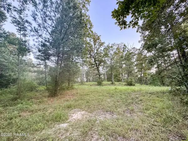 Tbd Saddler, Turkey Creek, LA 70585