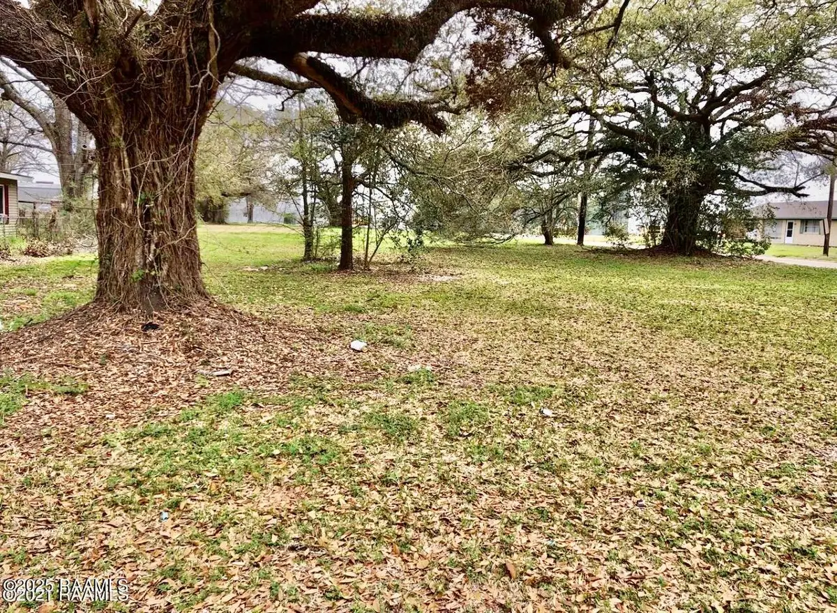 Lot 42 Durand/elmore, Saint Martinville, LA 70582 - #1