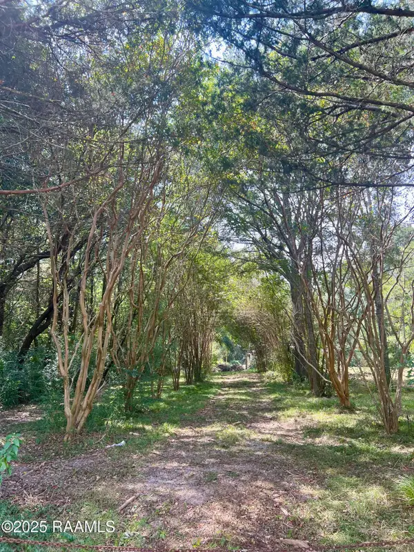 286 Patty Street, Opelousas, LA 70570