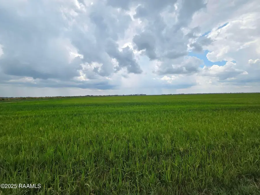 23823 Juniper Road, Kaplan, LA 70548 - #3